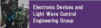 Electronic Devices and Light Wave Control Engineering Group